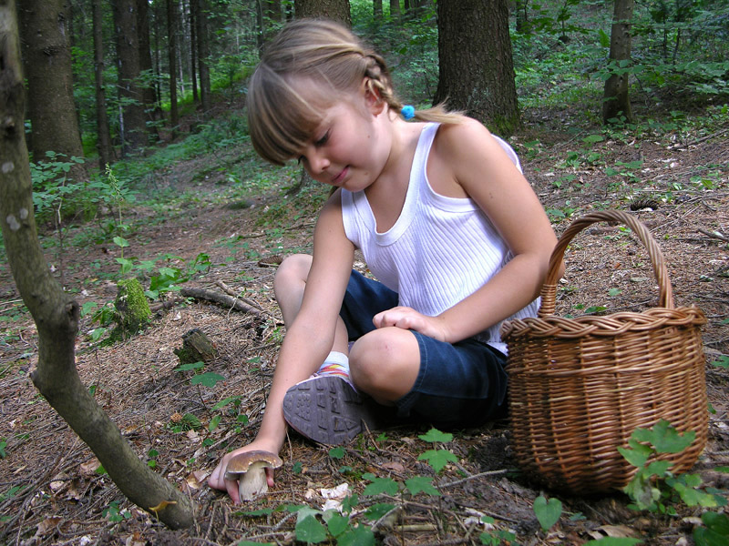 Ritrovamenti del 19 luglio.